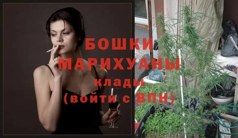 Марихуана SATIVA & INDICA  Каменногорск 